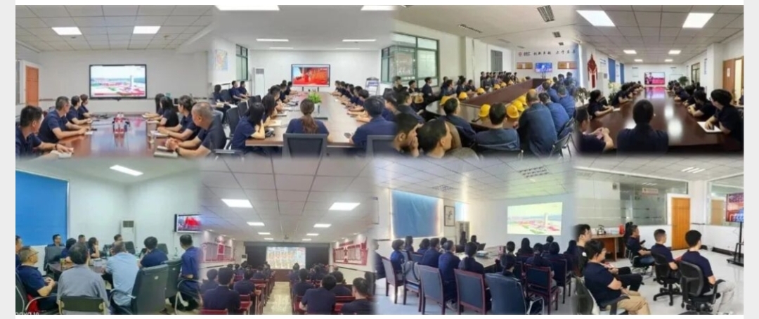 合肥凤凰联盟党委组织收看纪念中国人民抗日战争暨天下反法西斯战争胜利80周年大会直播